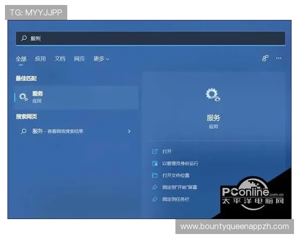 PG官方网站入口无法访问怎么办?详细解决方案与安全建议 PG官方网站入口无法访问怎么办?详细解决方案与安全建议